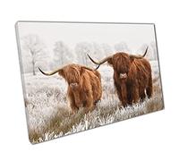 Two Hairy Scottish Highland Cows National Park Drenthe The Netherlands Animals Winter Wall Art Print On Canvas Picture For Home Office Decor 91x61cm (36x24In)