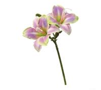 Two Head Clivia Silk Orchid Artificial Bouquet for DIY Floral Design Home Decor Dining Table Centerpiece and More (Purple)