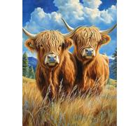 Two Highland Cows Stamped Cross Stitch Kits for Beginners Adults - Preprinted 11CT Easy Pattern Needlepoint Kits, Arts and Crafts for Home Decor (11.8x15.7inch) 775