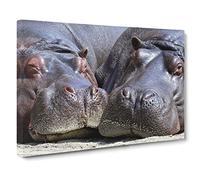 Two Hippos Hippopotamus Canvas Print | Gallery Wrapped 30mm Frame Wall Art | 30x20 inches | Ready to Hang | Modern Animal Picture | Living Room Bedroom Lounge Office