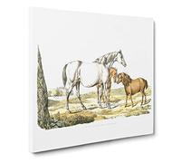 Two Horses & a Pony by Henry Alken Canvas Print | Gallery Wrapped 30mm Frame Wall Art | 20x20 inches | Ready to Hang | Modern Animals Picture | Living Room Bedroom Lounge Office