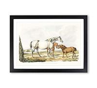 Two Horses & a Pony by Henry Alken Framed Print | A2 Black Framed Wall Art | Ready to Hang | Modern Animal Picture | Living Room Bedroom Lounge Office