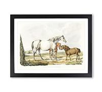 Two Horses & A Pony By Henry Alken Vintage Framed Print | A4 Black Framed Wall Art | Ready to Hang | Classic Animal Picture | Living Room Bedroom Lounge Office