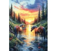 Two Horses in A River at Sunset 1000 Pcs Jigsaw Puzzle Bundle Wildlife Pet Family Puzzle Lovers Fun Family Game Mindful Activity Spring Cardboard 1000 PCS
