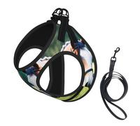 Two Horses Print Step in Dog Harness and Leash Set,Adjustable Reflective Harness for Small Dogs Cats