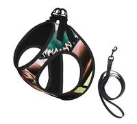 Two Horses Print Step in Dog Harness and Leash Set,Adjustable Reflective Harness for Small Dogs Cats