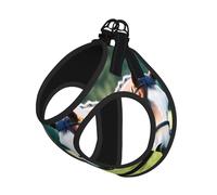 Two Horses Print Step in Dog Harness and Leash Set,Adjustable Reflective Harness for Small Dogs Cats