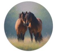 Two Horses Standing Close Together on Lush Grass Jigsaw Puzzles Challenge Toy Educational Games Home Decoration for Adults& Teenager Age 14 Years Up 1000pcs (67.5x67.5cm)