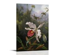 Two Hummingbirds Above A White Orchid Birds Flower Forest By Martin Johnson Heade Painter Artwork Home Decor Wall Art Hanging Picture Print Bedroom Decorative Paintings Room Aesthetic Frame 16x24inch(