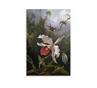 Two Hummingbirds Above A White Orchid Birds Flower Forest By Martin Johnson Heade Painter Artwork Painting On Canvas Wall Art Scroll Picture Print Living Room Walls Decor Homes Unframe 08x12inch(20x30