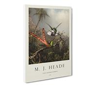 Two Hummingbirds By Martin Johnson Heade Canvas Print | Gallery Wrapped 30mm Frame Wall Art | 24x16 inches | Ready to Hang | Classic Picture | Living Room Bedroom Lounge Office