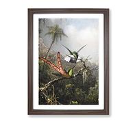 Two Hummingbirds By Martin Johnson Heade Classic Painting Framed Print | A4 Walnut Framed Wall Art | Ready to Hang | Classic Historical Picture | Living Room Bedroom Lounge Office