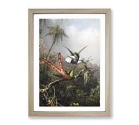 Two Hummingbirds By Martin Johnson Heade Classic Painting Framed Wall Art Print, Ready to Hang Picture for Living Room Bedroom Home Office Décor, Oak A2 (64 x 46 cm)