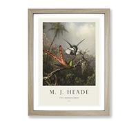 Two Hummingbirds By Martin Johnson Heade Exhibition Museum Painting Framed Print | A3 Oak Framed Wall Art | Ready to Hang | Modern Historical Picture | Living Room Bedroom Lounge Office