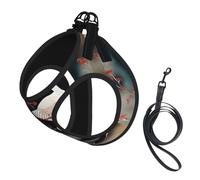 Two Japanese Cranes Flying Traditional Painting Print Small Dog Harness with Leash Set, No Escape Easy Walk Puppy Harnesses for Training Walking