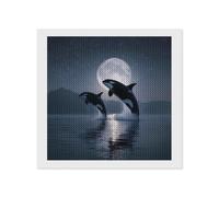 Two Killer Whales Moon Round Diamond Art Painting Kits
