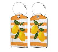 Two Lemons with Green Leaves Luggage Tag for Suitcase 2 Pack Leather Luggage Tag with Privacy Flap Name Id Label and Metal Loop for Women Men Travel