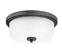 Two-Light Flush Mount Ceiling Light Cedric Aluminium