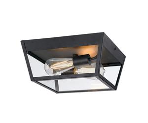 Two-Light Flush Mount Outdoor Ceiling Light Peterson