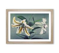 Two Lilies by Kazumasa Ogawa Framed Print | A2 Oak Framed Wall Art | Ready to Hang | Modern Nature Picture | Living Room Bedroom Lounge Office