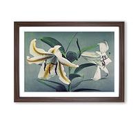 Two Lilies by Kazumasa Ogawa Framed Print | A2 Walnut Framed Wall Art | Ready to Hang | Modern Nature Picture | Living Room Bedroom Lounge Office