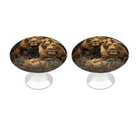 Two Lions Cabinet Knobs, 2-Pack Silver Stainless Steel Drawer Pulls with Screws, Elegant Hardware for Dressers, Kitchen,Cabinets & Desks