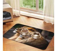 Two Lions Dog Food Mat, Absorbent Pet Feeding Mat for Food and Water Bowls Non-Slip Placement Pad for Floors Waterproof Quick Dry Water Dispenser Mat for Dogs Puppy Cats 12x18 Inch