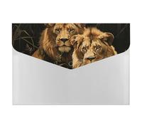 Two Lions File Folder 6-Pocket, Waterproof Accordion File Organizer with Snap Closure, Expanding Document Holder for Office, Home