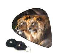 Two Lions Guitar Picks 6 Pack with Leather Guitar Pick Holder Keychain, Plectrum Key Fob Cases Bag, Abstract Art Plectrum for Acoustic Electric Guitar, Ukulele 0.71mm