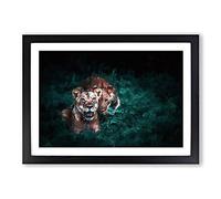 Two Lions in The Shadows Framed Print | A2 Black Framed Wall Art | Ready to Hang | Modern Animal Picture | Living Room Bedroom Lounge Office