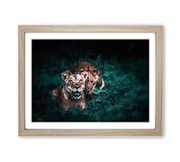 Two Lions In The Shadows Modern Art Framed Print | A2 Oak Framed Wall Art | Ready to Hang | Modern Animal Picture | Living Room Bedroom Lounge Office