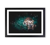 Two Lions in The Shadows Paint Splash Framed Print | A2 Black Framed Wall Art | Ready to Hang | Modern Animal Picture | Living Room Bedroom Lounge Office