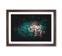Two Lions in The Shadows Paint Splash Framed Print | A2 Walnut Framed Wall Art | Ready to Hang | Modern Animal Picture | Living Room Bedroom Lounge Office