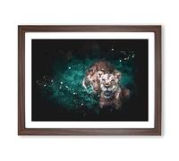 Two Lions In The Shadows Paint Splash Modern Art Framed Print | A4 Walnut Framed Wall Art | Ready to Hang | Modern Animal Picture | Living Room Bedroom Lounge Office