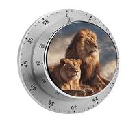 Two Lions Mechanical Kitchen Timer for Cooking 60 Min with Magnetic Backing Loud Alarm,Stainless Steel Wind Up Countdown Timer Cute Egg Timers for Cooking Studying Gaming Classroom Office Gym