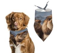 Two Lions Pet Scarf Adjustable Pet Accessories Triangular Scarf Washable Floral Print Puppy Bib Bandana Stylish Comfortable Cat Scarves for Holiday Scarfs