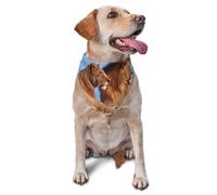 Two Lions PrintDog Bandanas Cat Puppy Scarfs Washable Pet Handkerchief