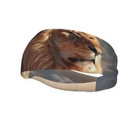 Two Lions Sports Sweatband Head Bands for Women Men, Lightweight Breathable Non Slip Workout Headbands Hairband for Fitness Running Cycling Hiking Yoga