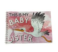 Two Little Boys This Is My Baby Sister Memory Gift Book