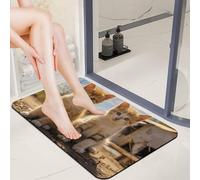 Two Little Cats Diatomaceous Earth Door Mat for Entryway 20x32 Ultra Thin Non-Slip Bathroom Rug Absorbent Stone Floor Mat for Mudroom Patio Kitchen Low Profile Indoor Outdoor Doormat