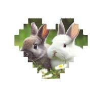 Two Little Cute Rabbits Building Brick Block Puzzle Heart Shaped, Personalized Picture Puzzles Photo Jigsaw Puzzles for Adults 3D Micro Building Blocks for Home Decor Bricks Set