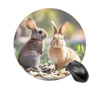 Two Little Cute Rabbits Mouse Pad Desk Mat,Mousepad