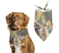 Two Little Cute RabbitsPet Scarf Dog Bandana for Small Medium Large Exquisite Unique Cat Dogs Kerchief Premium Fabric Cute Triangle Cat Dogs Bibs Scarf
