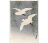 Two Little Egrets in Flight by Japanese artist Ohara Koson 1877-1945. Ohara Koson was part of the shin-hanga or new prints movement. Poster Print by Ken Welsh (13 x 20)