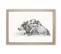Two Lying Cows by Jean Bernard Framed Print | A2 Oak Framed Wall Art | Ready to Hang | Modern Animal Picture | Living Room Bedroom Lounge Office