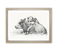 Two Lying Cows By Jean Bernard Vintage Framed Print | A2 Oak Framed Wall Art | Ready to Hang | Classic Animal Picture | Living Room Bedroom Lounge Office