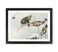 Two Mallard Ducks By Ohara Koson Asian Japanese Framed Print | A2 Black Framed Wall Art | Ready to Hang | Asian Animal Picture | Living Room Bedroom Lounge Office