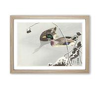 Two Mallard Ducks by Ohara Koson Framed Print | A2 Oak Framed Wall Art | Ready to Hang | Modern Animal Picture | Living Room Bedroom Lounge Office