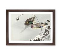 Two Mallard Ducks by Ohara Koson Framed Print | A2 Walnut Framed Wall Art | Ready to Hang | Modern Animal Picture | Living Room Bedroom Lounge Office