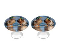 Two Mallard Ducks Cabinet Knobs, 2-Pack Silver Stainless Steel Drawer Pulls with Screws, Elegant Hardware for Dressers, Kitchen,Cabinets & Desks